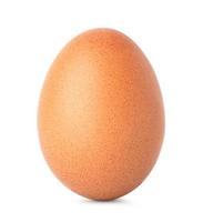 pollo uovo isolato su bianca sfondo foto