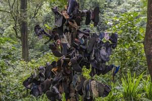 il rifiuto di sendal su il modo andando per acqua autunno tropicale foresta. il foto è adatto per uso per avventura soddisfare media, natura manifesto e foresta sfondo.