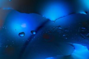 cerchi di olio nel acqua con un' blu sfondo astratto macro foto