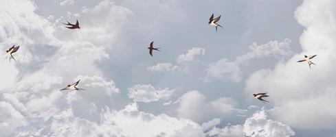 bellissimo nuvole aereo Visualizza cielo foto