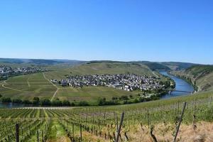 mosel curva fra trittenheim e leiwen foto