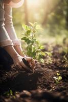 piantare alberi per un' sostenibile futuro. Comunità giardino e ambientale conservazione - promozione habitat restauro e Comunità Fidanzamento su terra giorno foto