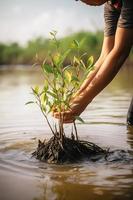 ripristino il costa Comunità Fidanzamento nel piantare mangrovie per ambiente conservazione e habitat restauro su terra giorno, promozione sostenibilità. terra giorno foto