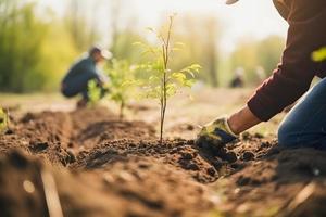 piantare alberi per un' sostenibile futuro. Comunità giardino e ambientale conservazione - promozione habitat restauro e Comunità Fidanzamento su terra giorno foto