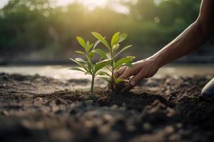 ripristino il costa Comunità Fidanzamento nel piantare mangrovie per ambiente conservazione e habitat restauro su terra giorno, promozione sostenibilità. terra giorno foto