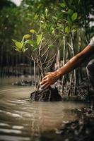 ripristino il costa Comunità Fidanzamento nel piantare mangrovie per ambiente conservazione e habitat restauro su terra giorno, promozione sostenibilità. terra giorno foto