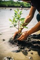 ripristino il costa Comunità Fidanzamento nel piantare mangrovie per ambiente conservazione e habitat restauro su terra giorno, promozione sostenibilità. terra giorno foto