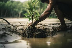 ripristino il costa Comunità Fidanzamento nel piantare mangrovie per ambiente conservazione e habitat restauro su terra giorno, promozione sostenibilità. terra giorno foto