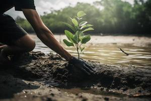 ripristino il costa Comunità Fidanzamento nel piantare mangrovie per ambiente conservazione e habitat restauro su terra giorno, promozione sostenibilità. terra giorno foto