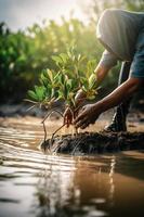 ripristino il costa Comunità Fidanzamento nel piantare mangrovie per ambiente conservazione e habitat restauro su terra giorno, promozione sostenibilità. terra giorno foto