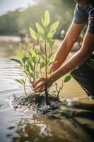 ripristino il costa Comunità Fidanzamento nel piantare mangrovie per ambiente conservazione e habitat restauro su terra giorno, promozione sostenibilità. terra giorno foto