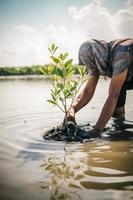 ripristino il costa Comunità Fidanzamento nel piantare mangrovie per ambiente conservazione e habitat restauro su terra giorno, promozione sostenibilità. terra giorno foto