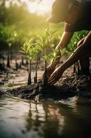 ripristino il costa Comunità Fidanzamento nel piantare mangrovie per ambiente conservazione e habitat restauro su terra giorno, promozione sostenibilità. terra giorno foto