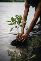 ripristino il costa Comunità Fidanzamento nel piantare mangrovie per ambiente conservazione e habitat restauro su terra giorno, promozione sostenibilità. terra giorno foto