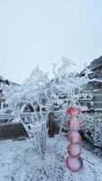 il congelato inverno Visualizza con il foresta e alberi coperto di il ghiaccio e bianca neve foto