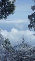 il bellissimo congelato montagne Visualizza coperto di il bianca neve e ghiaccio nel inverno foto