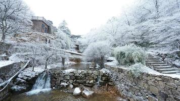 il bellissimo congelato montagne Visualizza coperto di il bianca neve e ghiaccio nel inverno foto