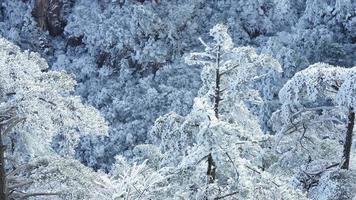 il bellissimo congelato montagne Visualizza coperto di il bianca neve e ghiaccio nel inverno foto