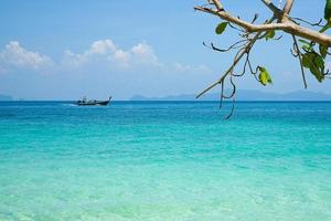 il ramo di albero su il spiaggia con lungo coda barca in movimento nel il mare e blu cielo nel sfondo foto