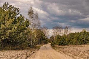 primavera paesaggio con un' sporco strada, campi, alberi e cielo con nuvole nel Polonia foto