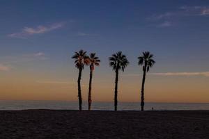 mare paesaggio pace e silenzioso tramonto e quattro palma alberi su il spiaggia foto