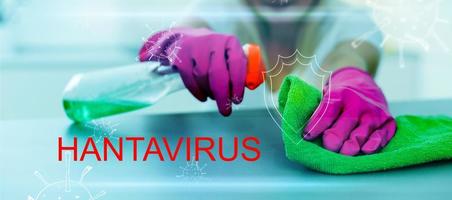 testo hantavirus. emergenza concetto. hanta virus, hp virus infezione polmonare sindrome hps. scoppio continua per diffusione al di fuori Cina. foto