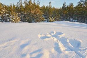 angelo della neve con una foresta sullo sfondo foto