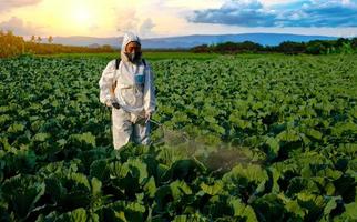 giardiniere in una tuta protettiva che spruzza fertilizzante foto