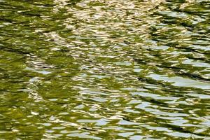 superficie dell'acqua calma foto