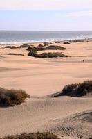 sabbia dune di il mare foto