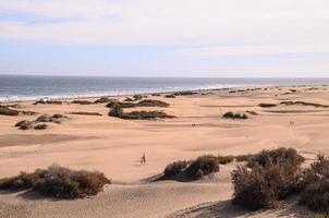 sabbia dune di il mare foto