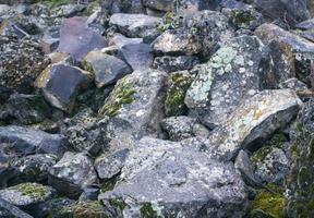 vicino su muschio cresciuto su copertina il ruvido pietre e su il pavimento nel il foresta. mostrare con macro Visualizza. rocce pieno di il muschio foto