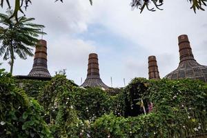 paesaggio foto di verde giardino, su collina e fiore parco su il centrale Giava semarang. il foto è adatto per uso per tradizionale cibo sfondo, manifesto e cibo soddisfare media.