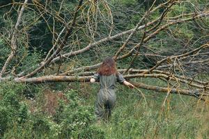 donna vicino rotto albero nel verde tuta da lavoro foto