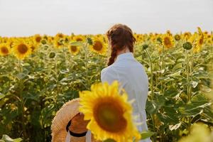 donna nel bianca vestito con trecce nel un' campo di girasoli natura campagna foto