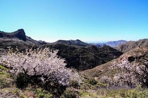 panoramico rurale paesaggio foto