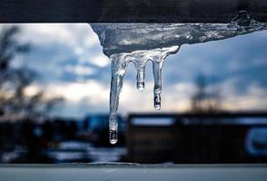 piccolo inverno ghiaccioli con gocciolante acqua avvicinamento foto