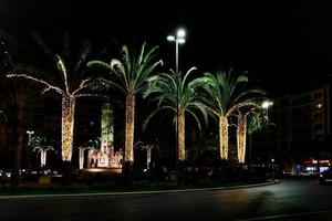 luceros piazza nel alicante a notte con decorativo palma alberi per Natale foto