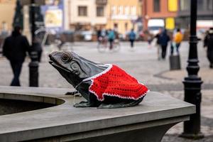 famoso rana Polonia nel un' lavorato a mano rosso capo per Natale avvicinamento foto