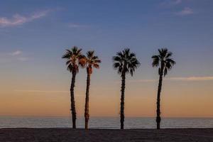 mare paesaggio pace e silenzioso tramonto e quattro palma alberi su il spiaggia foto