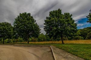 estate paesaggio con verde alberi, prato, i campi e cielo con bianca nuvole e calcestruzzo strada foto