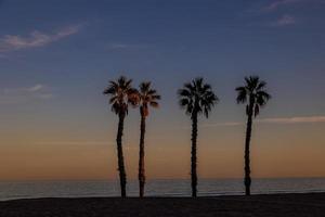 mare paesaggio pace e silenzioso tramonto e quattro palma alberi su il spiaggia foto