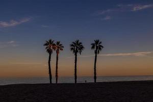 mare paesaggio pace e silenzioso tramonto e quattro palma alberi su il spiaggia foto