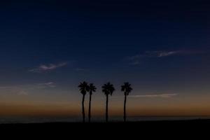 mare paesaggio pace e silenzioso tramonto e quattro palma alberi su il spiaggia foto