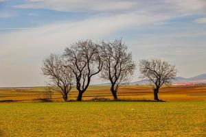 sereno minimalista paesaggio aragona Spagna nel inverno giorno foto