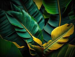 astratto verde tropicale Banana e Monstera le foglie sfondo creato con generativo ai tecnologia foto