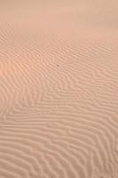 sabbia nel il deserto foto