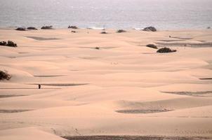 sabbia dune di il mare foto