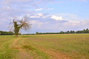 panoramico rurale paesaggio foto