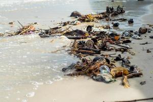 immagine di messa a fuoco selettiva di immondizia e rifiuti sulla spiaggia foto